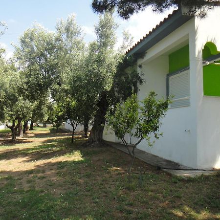 Bungalows Camping Kouyoni Gerakini Bagian luar foto