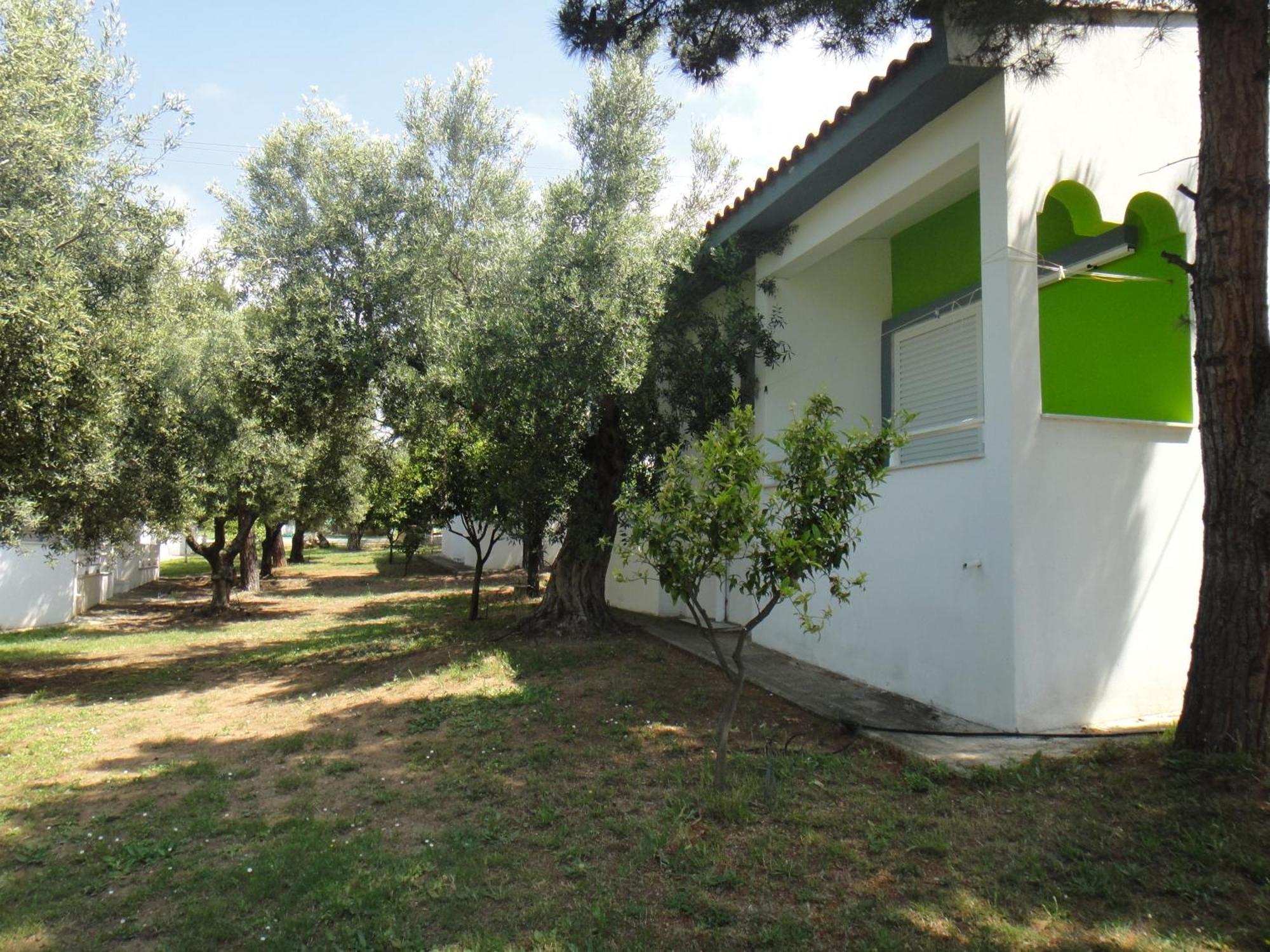 Bungalows Camping Kouyoni Gerakini Bagian luar foto